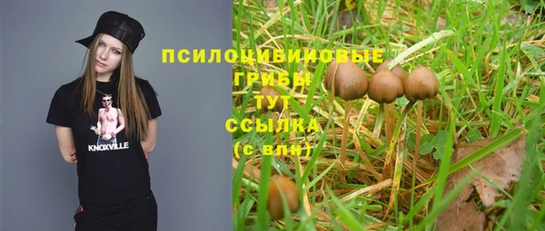 ALPHA-PVP Касимов