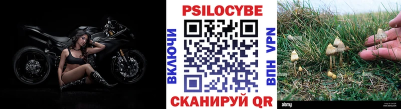 Купить закладки  Грозный  Псилоцибиновые грибы ЛСД 